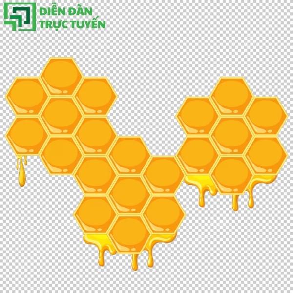 Họa tiết tổ ong vector đơn giản nhưng nổi bật