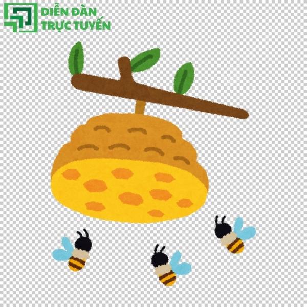 Mẫu tổ ong vector đầy sáng tạo