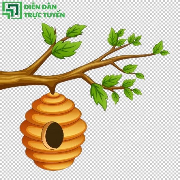 Vector tổ ong tone vàng chủ đạo, nổi bật