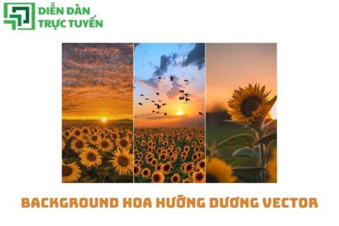 Background hoa hướng dương vector