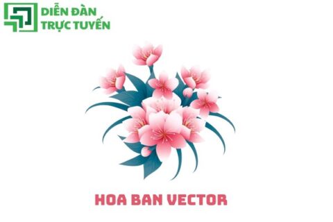 Hoa ban vector