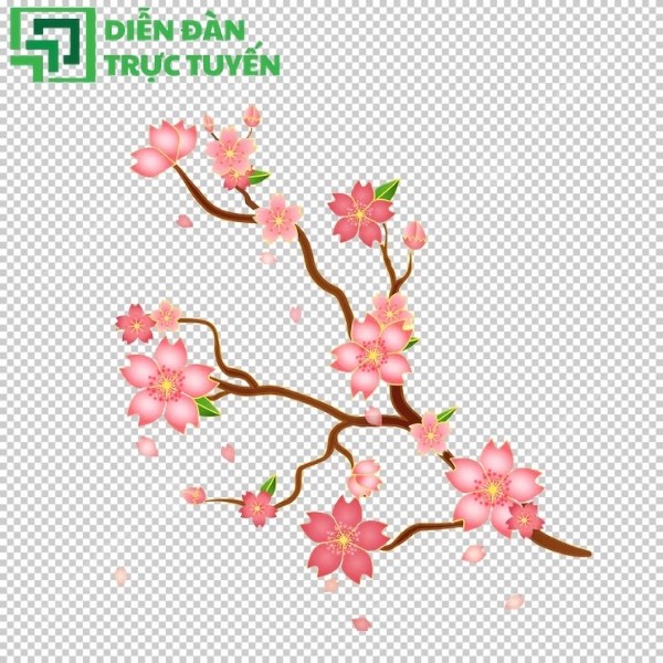 Hoa ban vector tách nền miễn phí