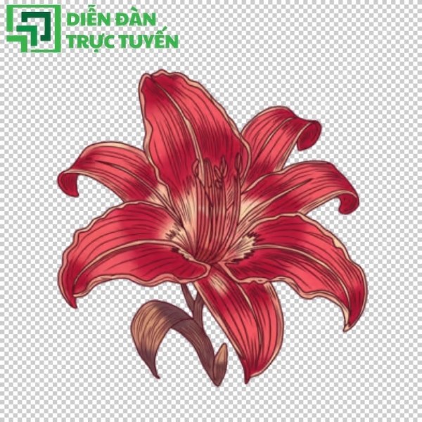 Tải miễn phí hoa ban vector