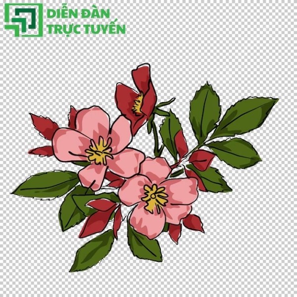 Hoa ban vector PNG, AI, SVG