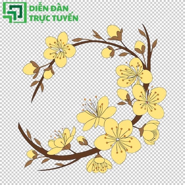 Hoa ban PNG